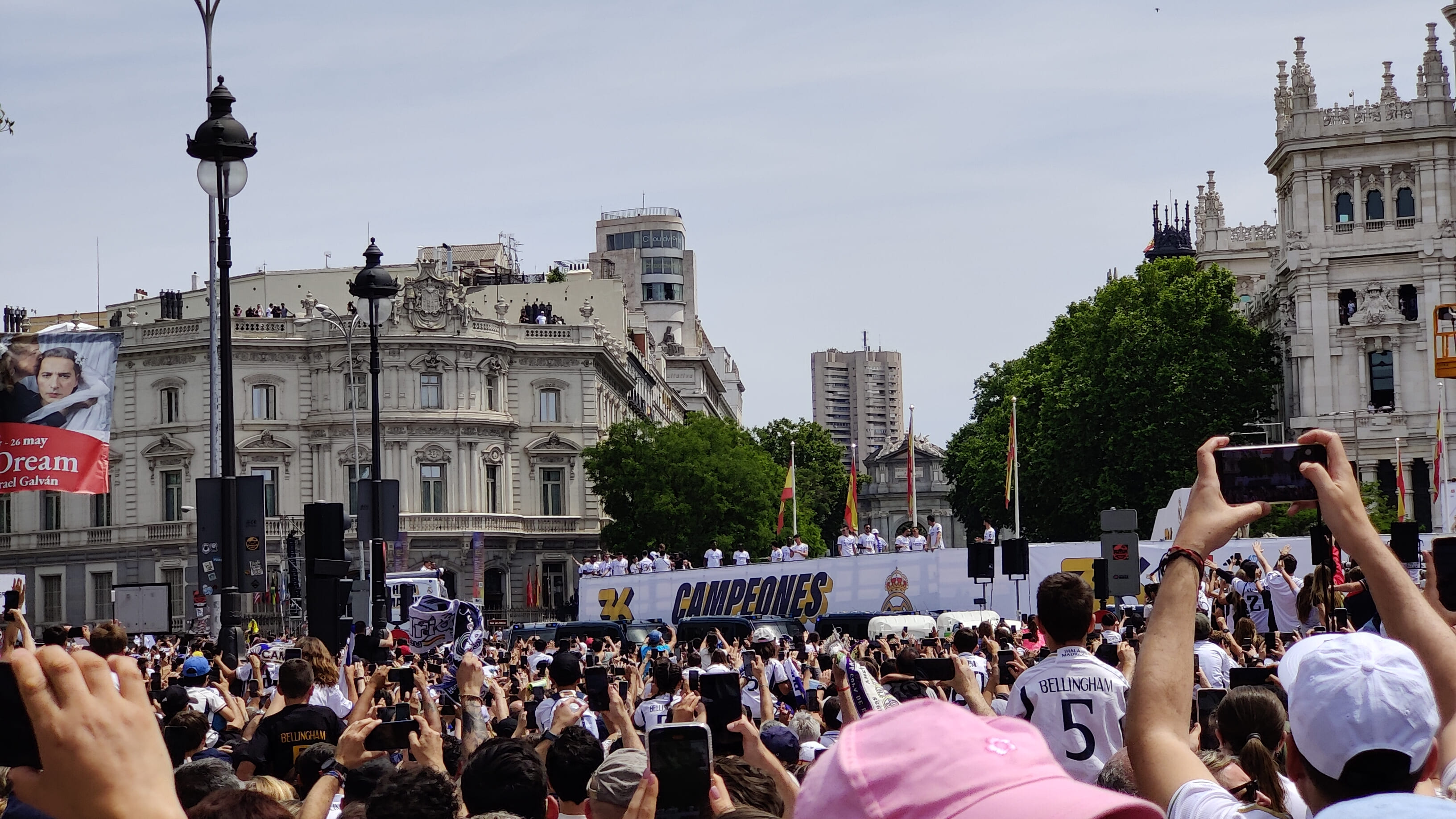Imagen 11
