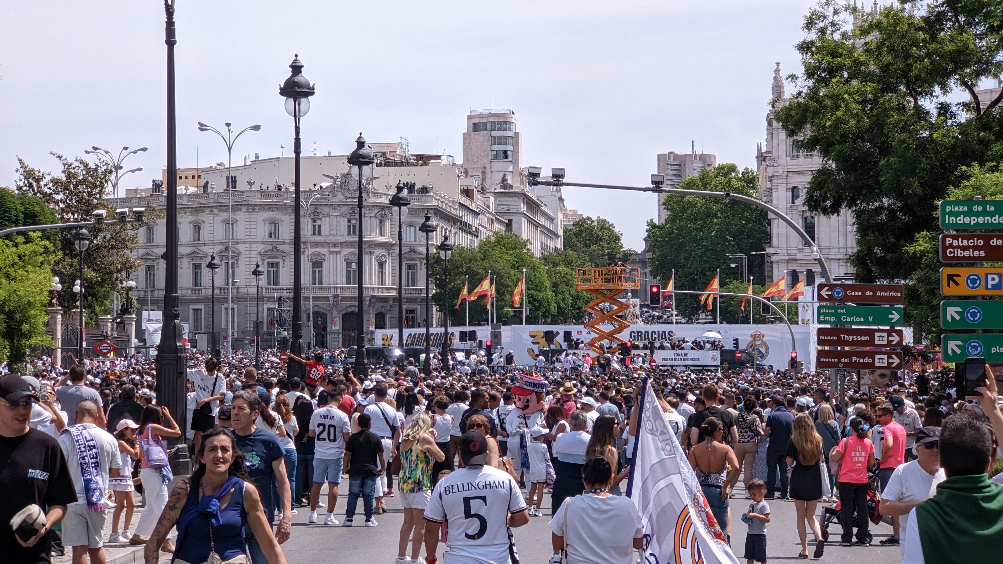 Imagen 29